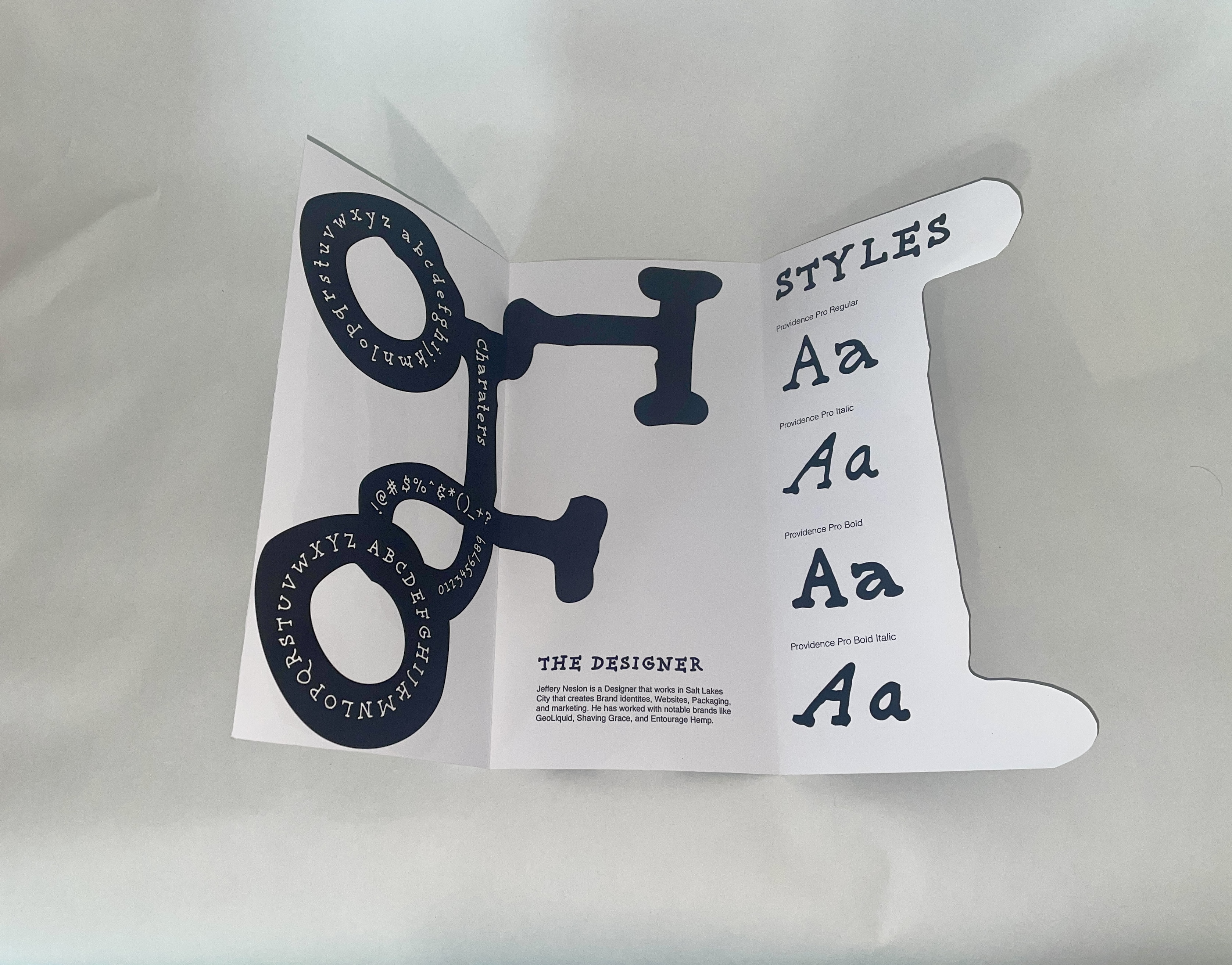 FF Providence Campaign