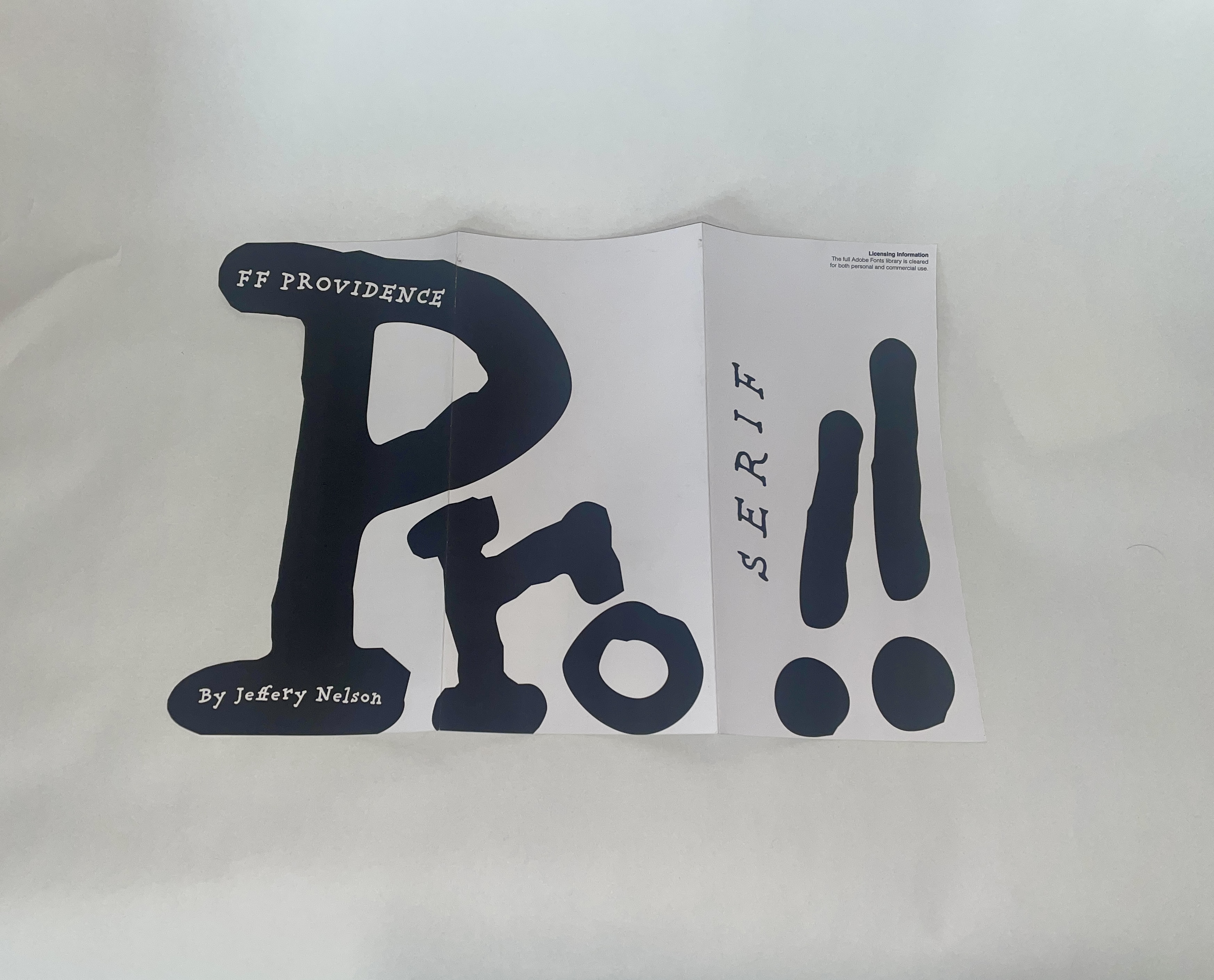 FF Providence Campaign